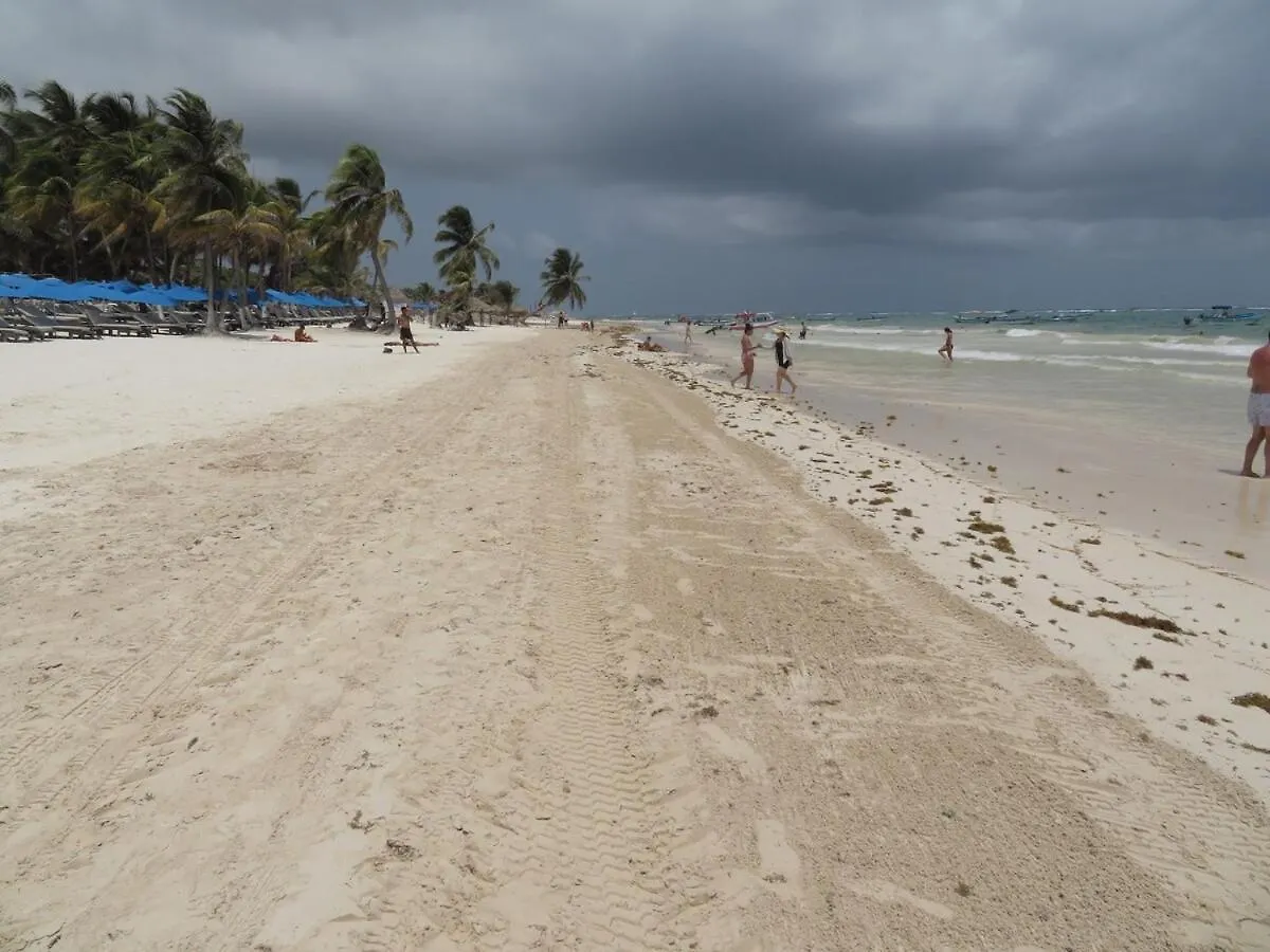 Spacious Penthouse With Private Rooftop & Jacuzzi Tulum 0*,  Mexico
