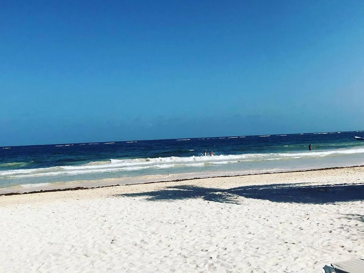 Apartment Spacious Penthouse With Private Rooftop & Jacuzzi Tulum Mexico