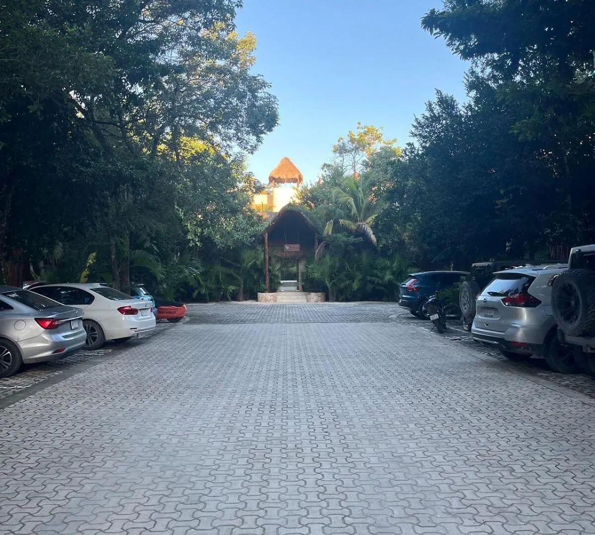 Apartment Spacious Penthouse With Private Rooftop & Jacuzzi Tulum