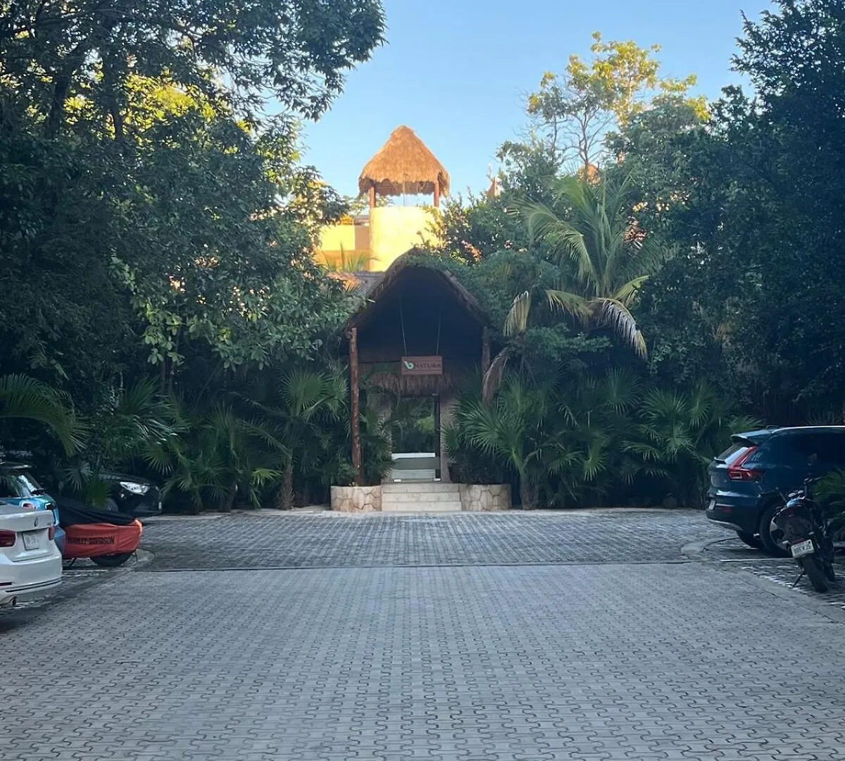 Spacious Penthouse With Private Rooftop & Jacuzzi Tulum 0*,
